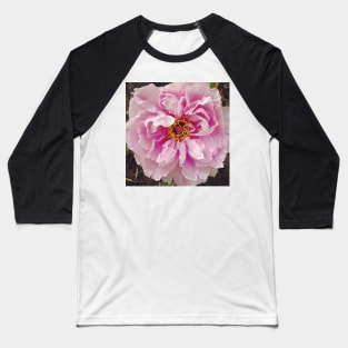 Carnation Baseball T-Shirt